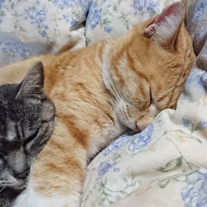 560349e0 4287 4f6a 98af 956c9cadde7e 1582809768566