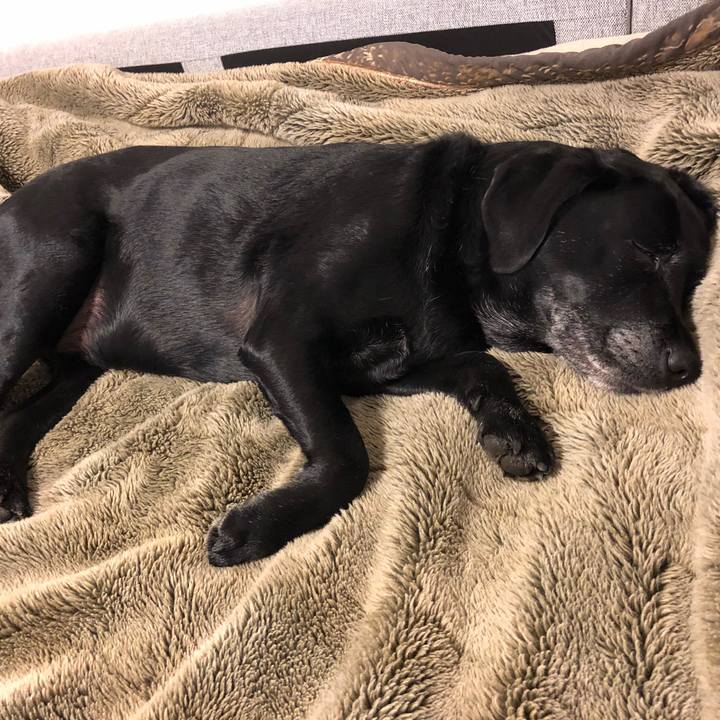 560370ae 6dc9 4ee9 9d04 95f148627c63 1546003068289