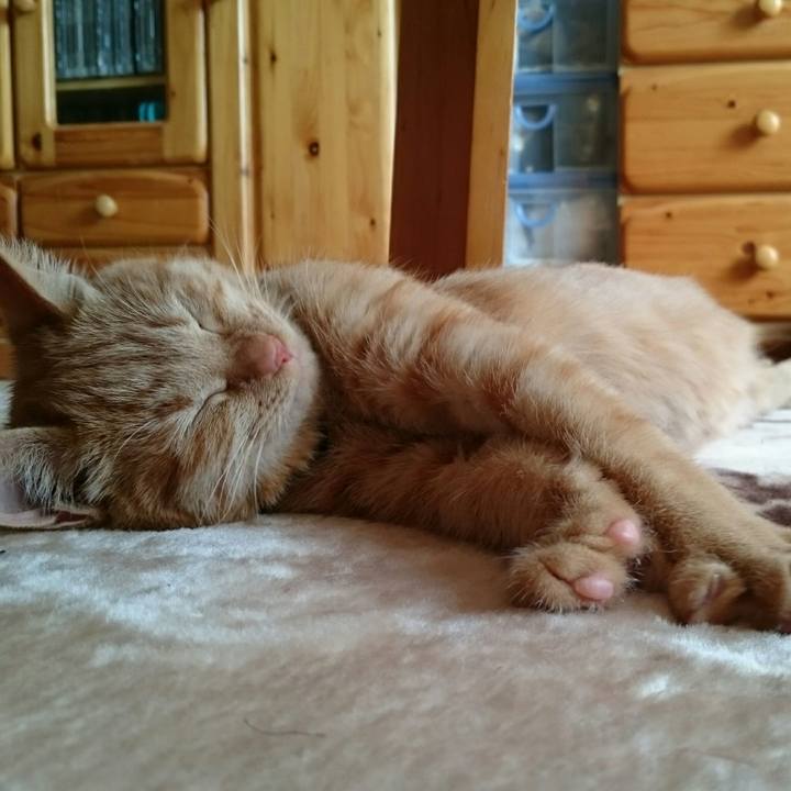 560375ce 42d1 40e2 a67d 75bfac60f387 1542859413273