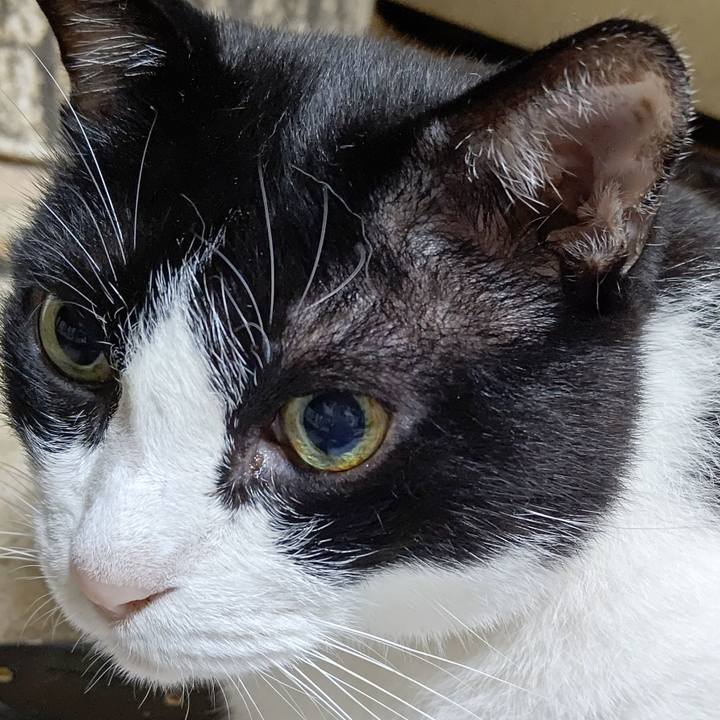 56038115 61c5 40a1 be94 e1e6a5c3b2d4 1600251796450