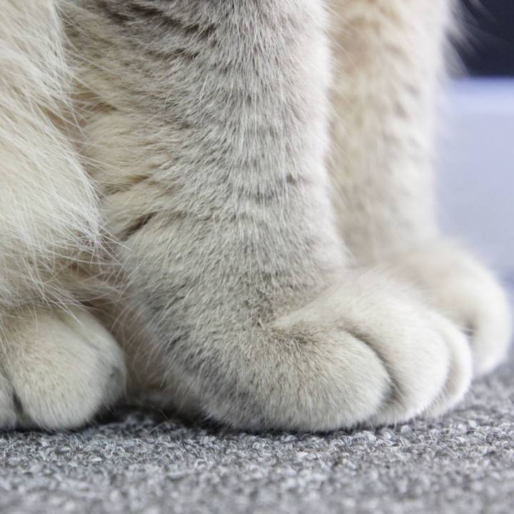 5603c270 67e9 4cfb bc33 4ada25b502f7 1669694706495