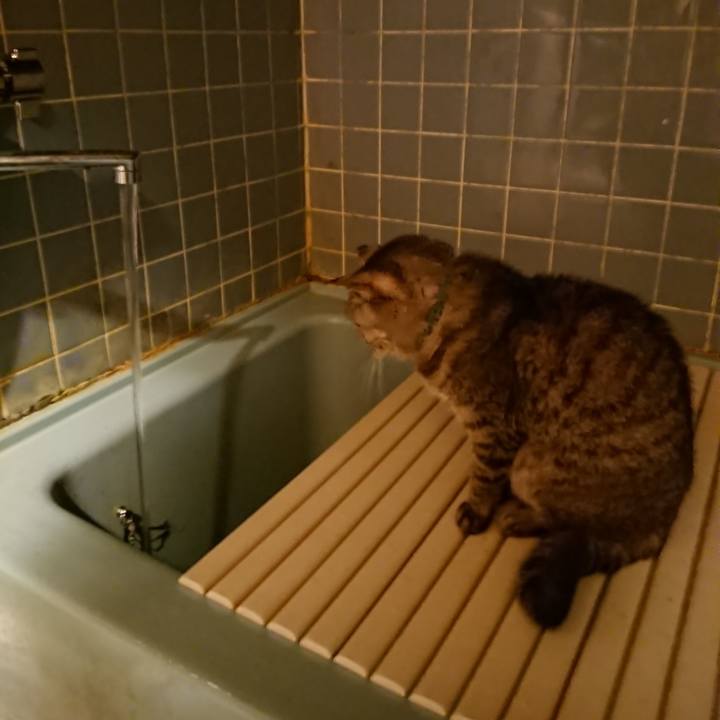 5603cbb2 d7db 4481 be17 595608a127af 1573635732150