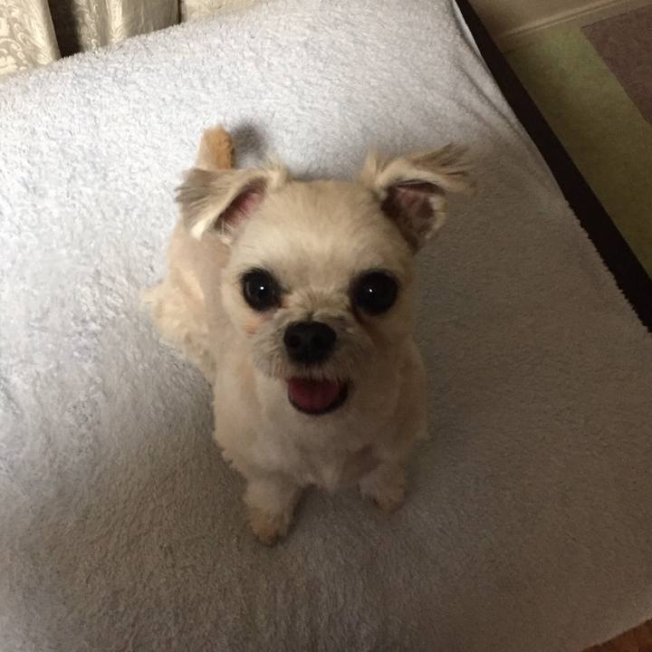 5603d1b5 d8c9 47eb 8b18 fa349cc01ff8 1546644376469