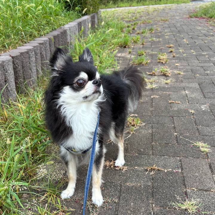 5603d1d8 aee5 423c a6b3 6d1dbe981fe7 1756656623327