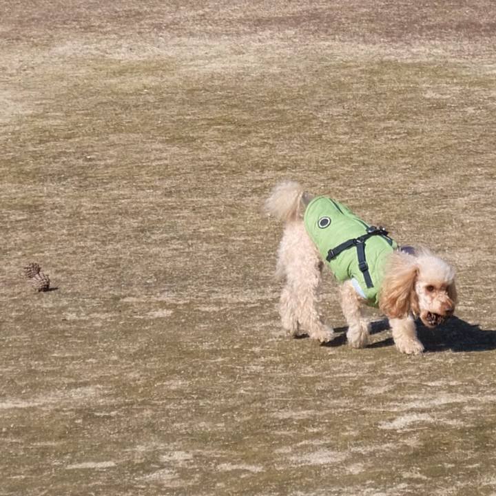 5603dd76 47ef 4c81 a063 1aefabe99d16 1546658480847