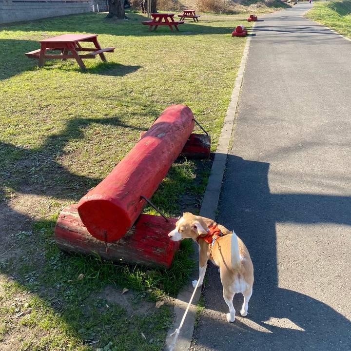 5603ecaa b370 4b3c 8b2f 1ec0c23c20d0 1608634355029