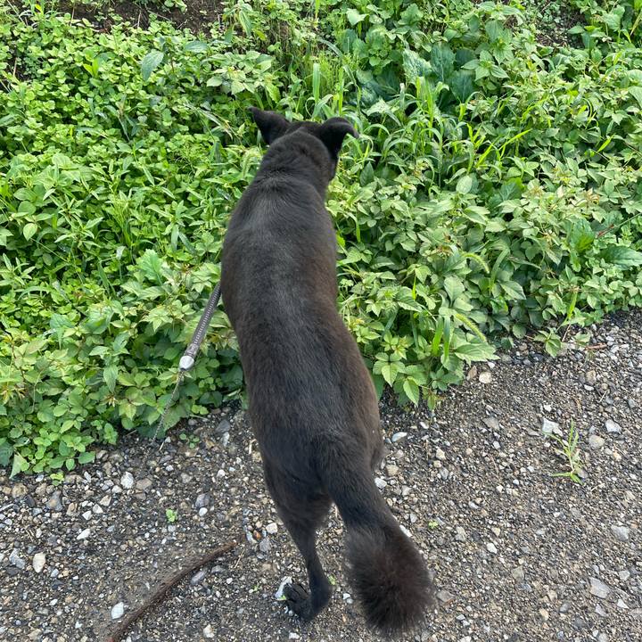 5603eee8 f5b0 4659 b9a9 685420eae25a 1664057475348