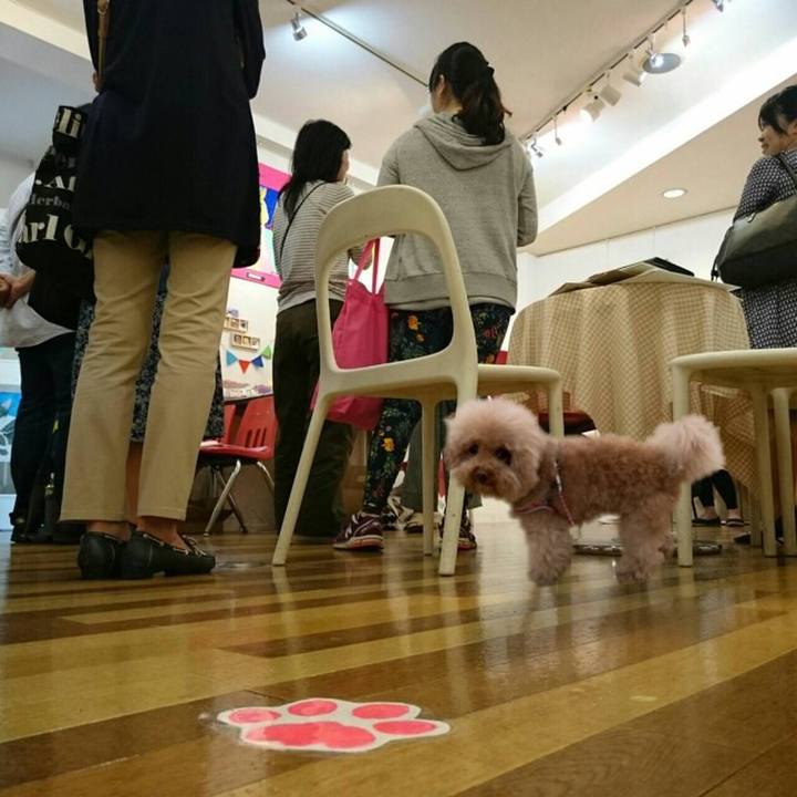 5604121b bc1b 4f23 b04a 4886b502eadf 1524988177734