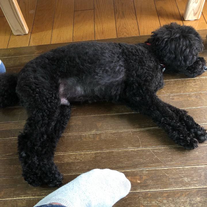 5604447f 7239 4f91 889c 158972a3ca85 1591526668910