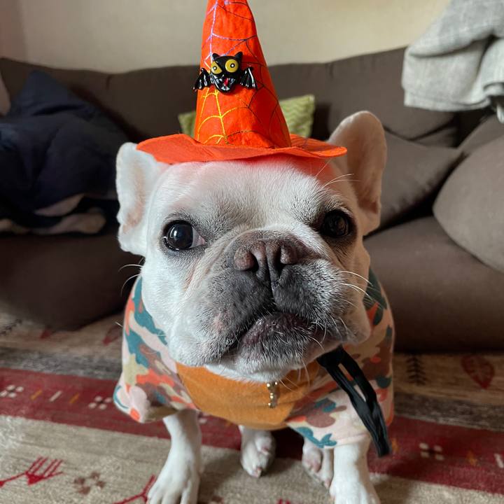 56045e0e 56c3 4231 bc5b 40331216608d 1761864852816