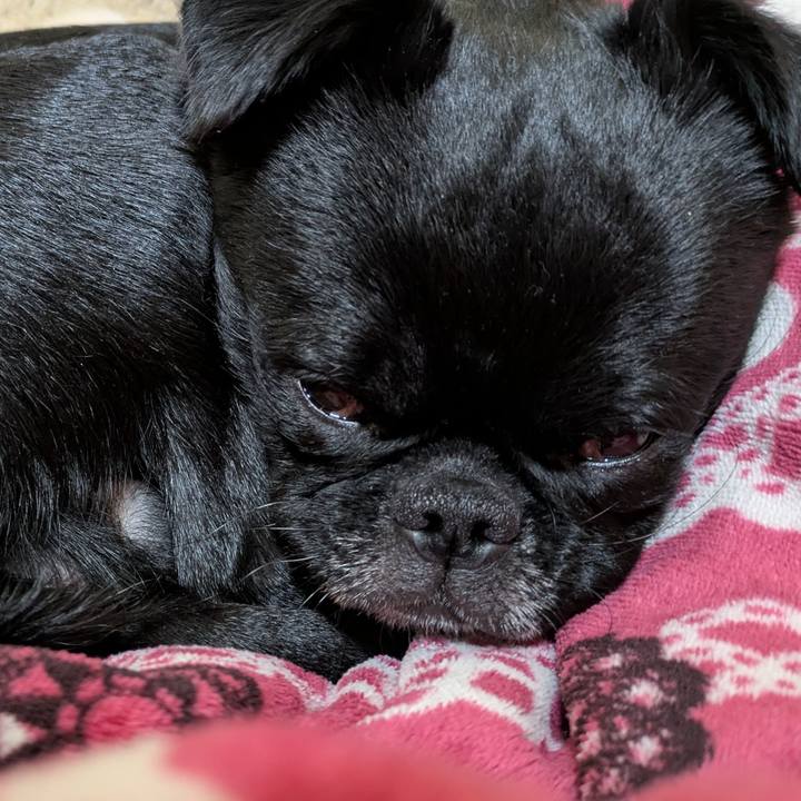 5604bc5b 5f13 4dc1 886d 9a34546e9126 1767964133236