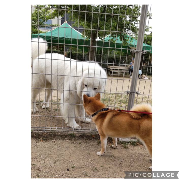 5604d49b cb7f 431a bfdd 3f721ec29239 1685308230701