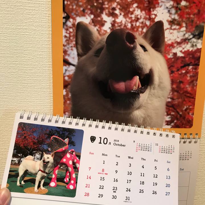 5604f0e1 b42c 40f0 a12b 6d5c68c2f1bf 1538354900627