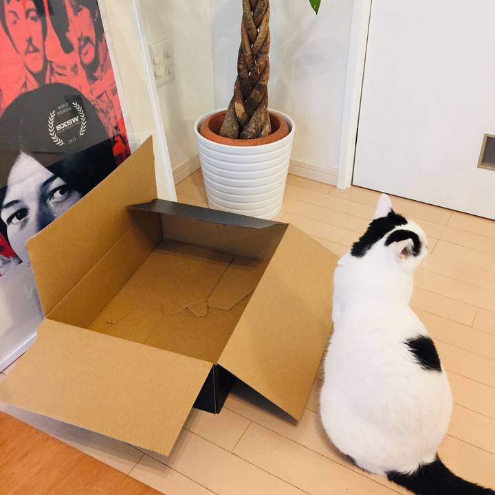 56052063 d95f 4282 9ebb 732e682c40ad 1593122386770