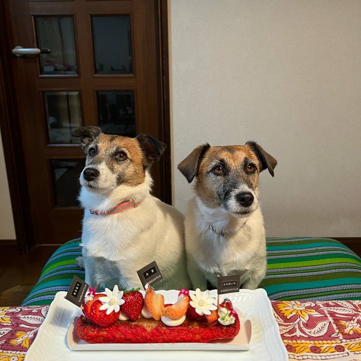 560528c2 0225 4ae8 9b02 56118501b4b6 1673612457941