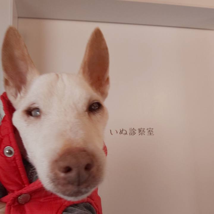 5605e579 518a 46cf a0b3 0413629d1501 1606619530394