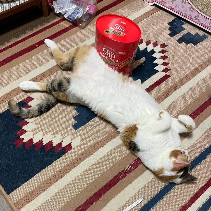 5605f24f cfea 4600 a954 9c15efced419 1656474251469