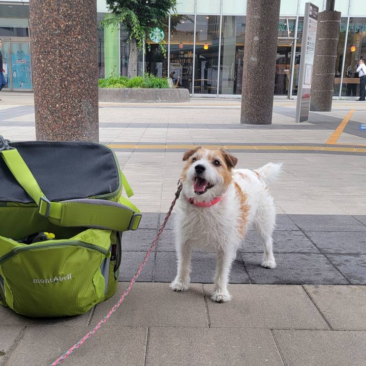 56060ef3 7754 40af a62b 5f9a1621381e 1717194709172