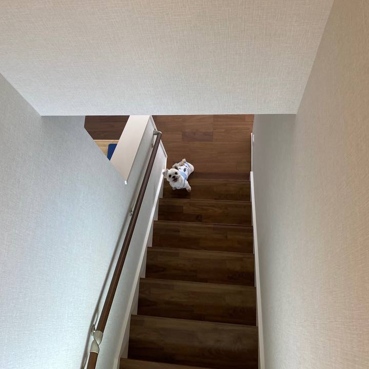 56064da7 9b88 4ea4 a92c e5f54d2c3878 1599468470736