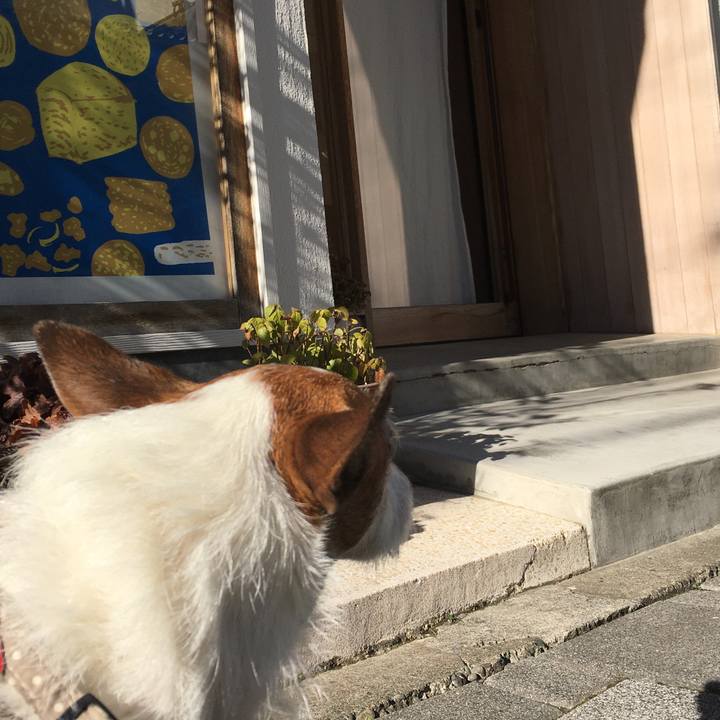 560678ea 5b28 4dc5 b34a 9944e157e85f 1613605889665