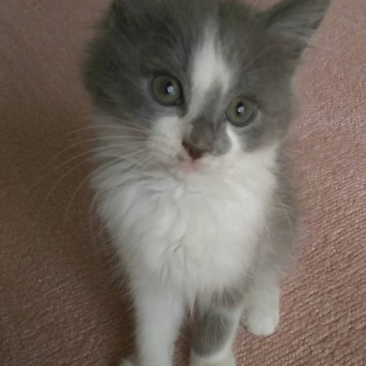 5606944f 5b74 4805 8356 1691796713c8 1561246894308