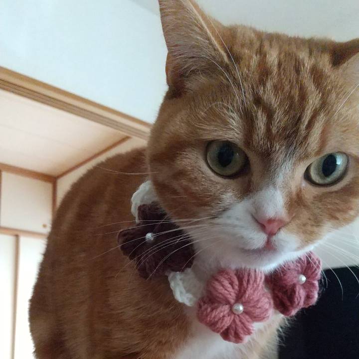 5606dba4 6baf 4e7a bb4b 0601d2e8f966 1677377080917