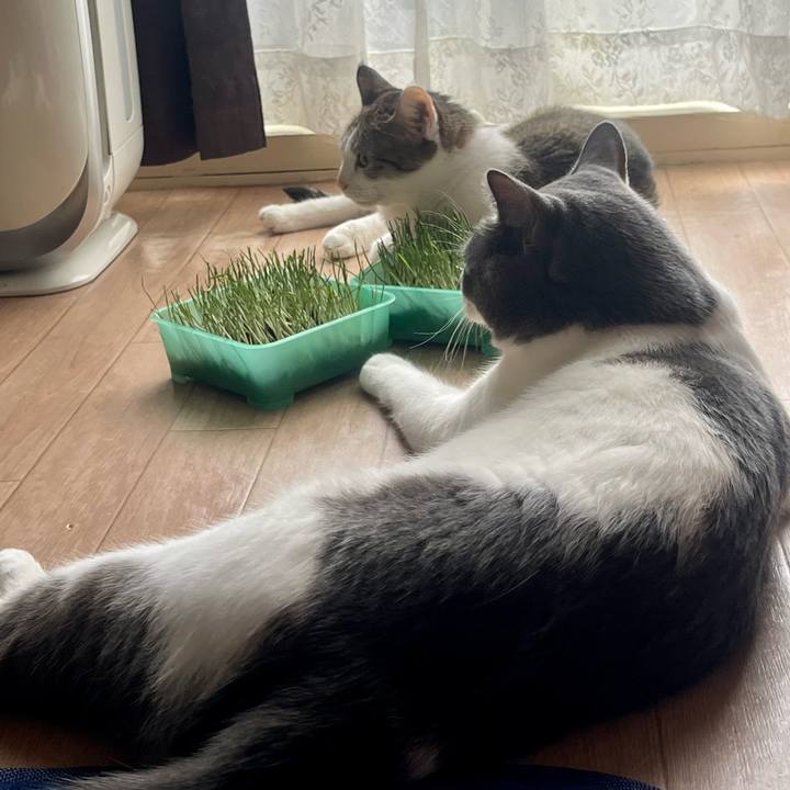 5606eb23 2589 433f af0f b779d45cb765 1660521382547