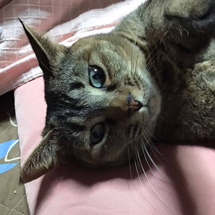 5607409f 2c01 463e a68b b79d3df1b1cb 1677501956123