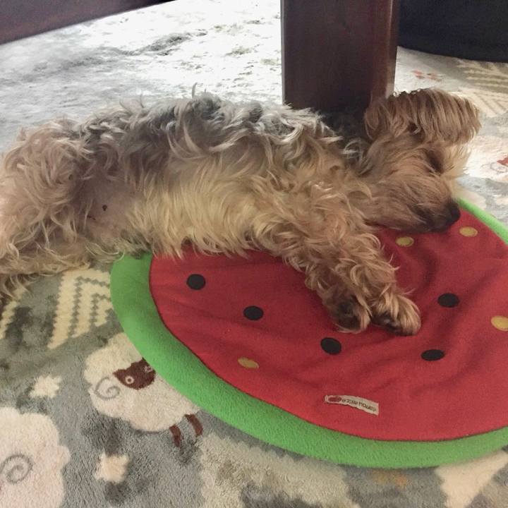 5607920c d1c2 49ca 8b87 2f5f1fb15780 1541920507339