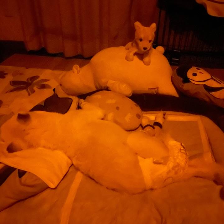 5607bb4c 664b 44d0 b7d5 bc029a157f88 1685473443361