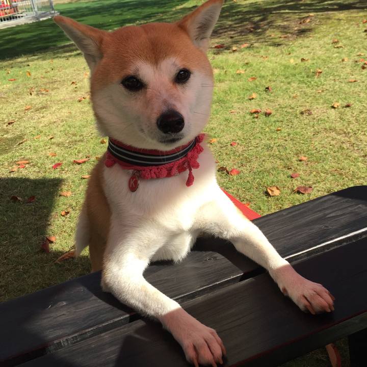 5607bb89 5a6b 4d6c 954c 9162e61c0d54 1508328682945