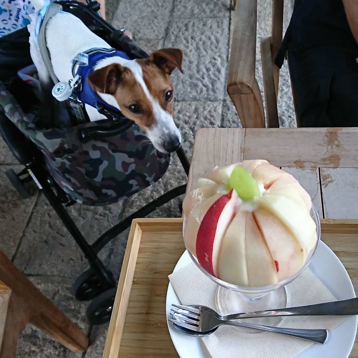 56082457 4890 4d4f bb93 fd0b1e787bbe 1535349243510