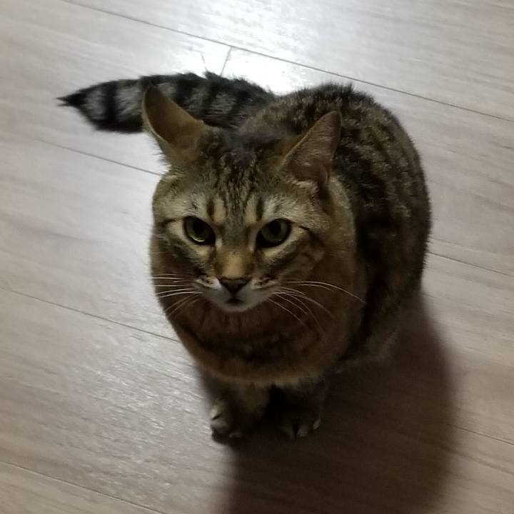 56083090 cce8 41dd b333 b037cd2d480c 1615239454822