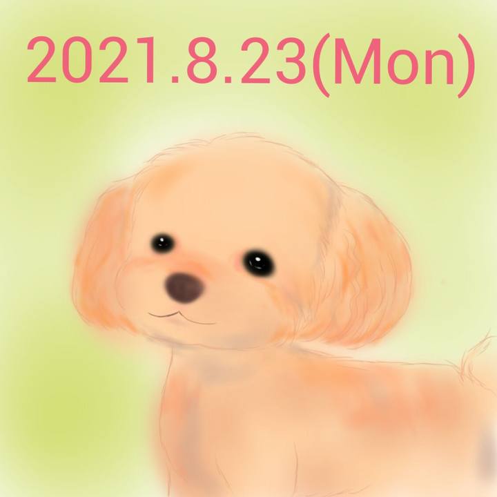 56084539 6e4b 4330 ba9f d48a7413ee6d 1629720411399