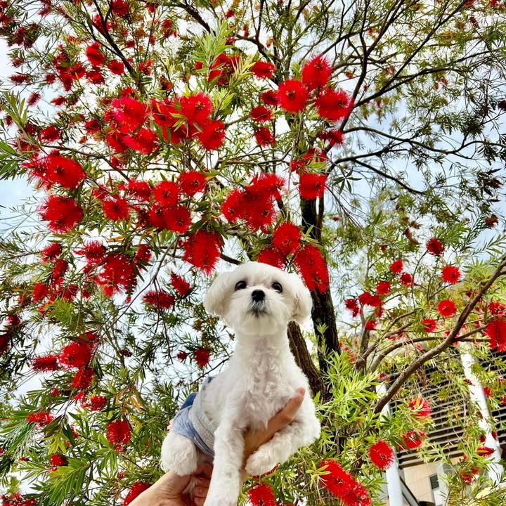 56085571 5708 4589 9385 5336af078ebe 1653375764757