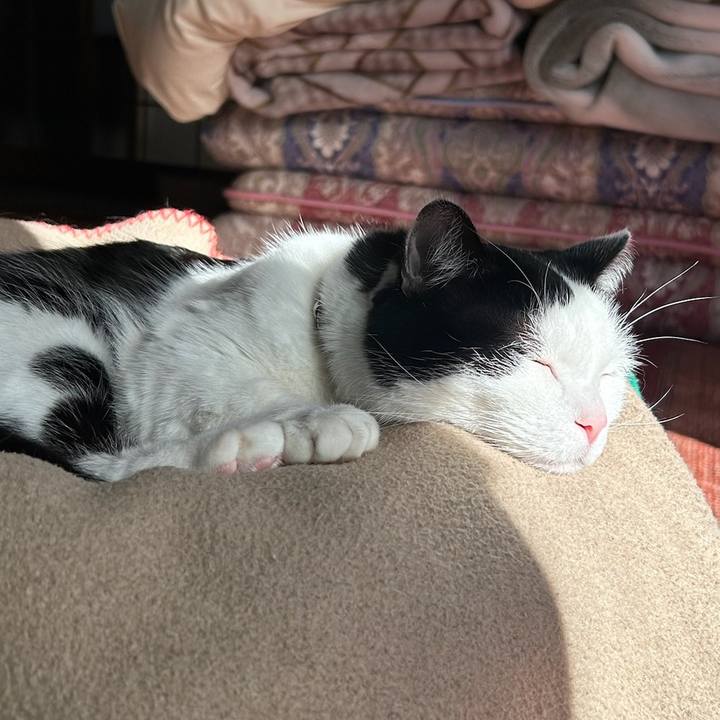 5608c821 2c20 48b1 9942 f7b91c84e34d 1767744084837