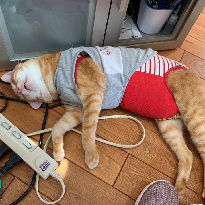 5609080b 5d16 4a5f 8e29 db77072d6fcd 1627380988141