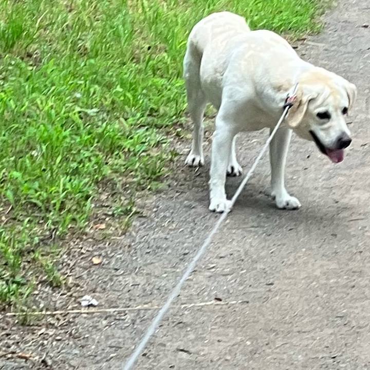 56090fe0 3780 4447 8e37 46442f6f8123 1689205047283