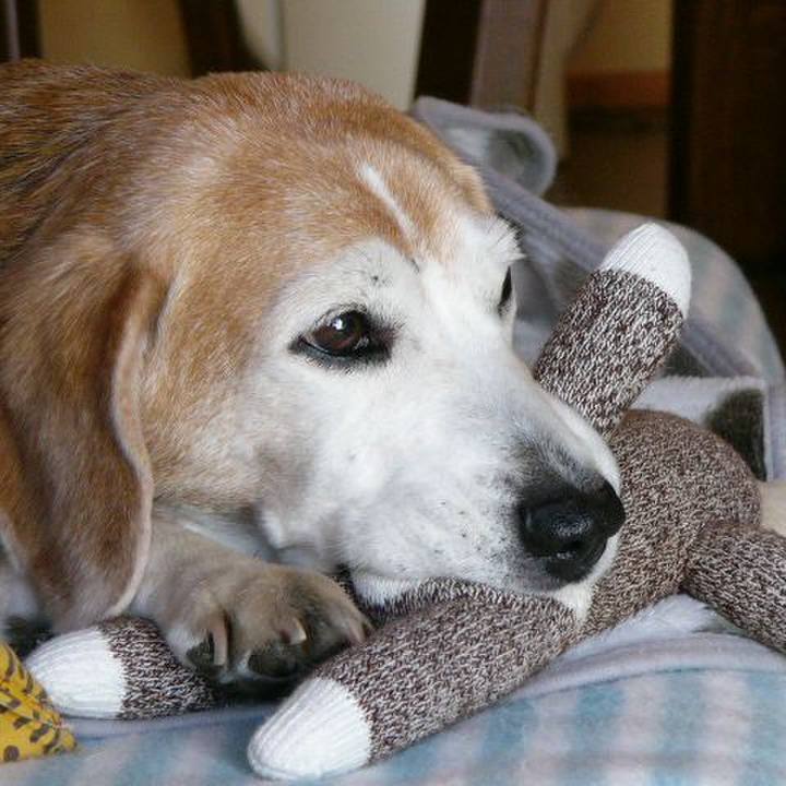 5609314b 87a8 48db b225 3805ae5aa30d 1661645334022