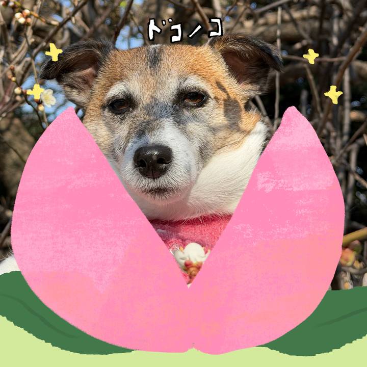 5609506c b974 479f 8730 dac031468906 1771816456984