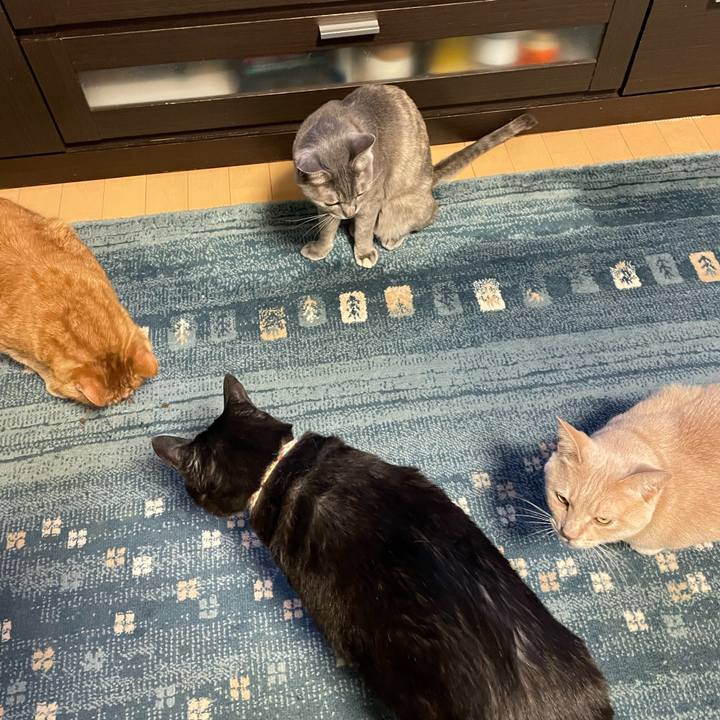 560a182c 7de1 4499 b428 400230805803 1714909393994