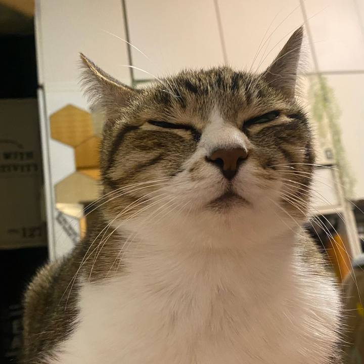 560a2cce bff1 4dc7 9ffd 7de0342efeda 1644764336878