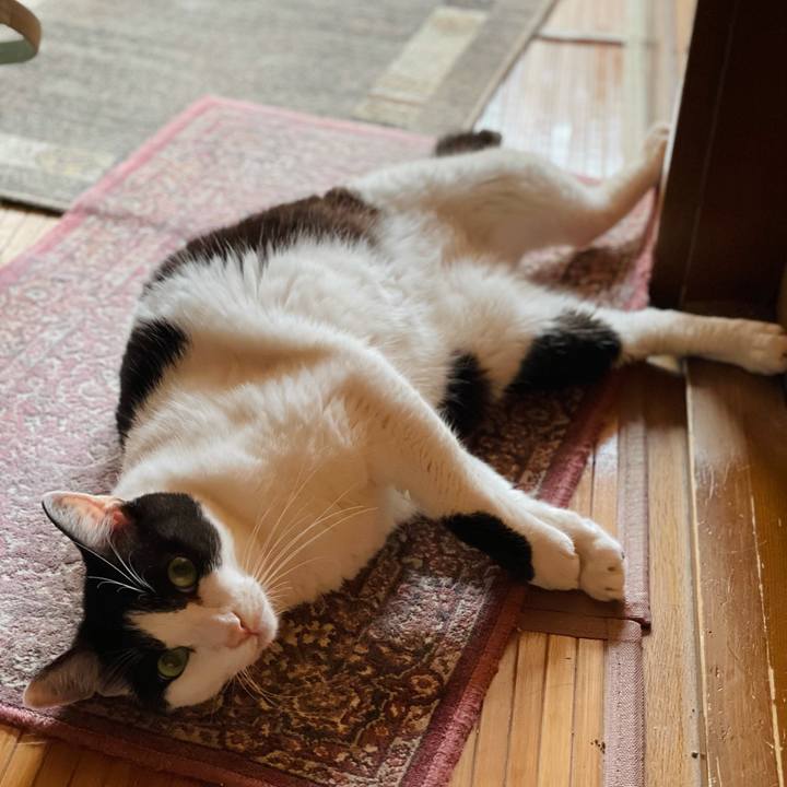 560a2e6c c0fb 4fd2 a12e 63981f52facc 1631241840409