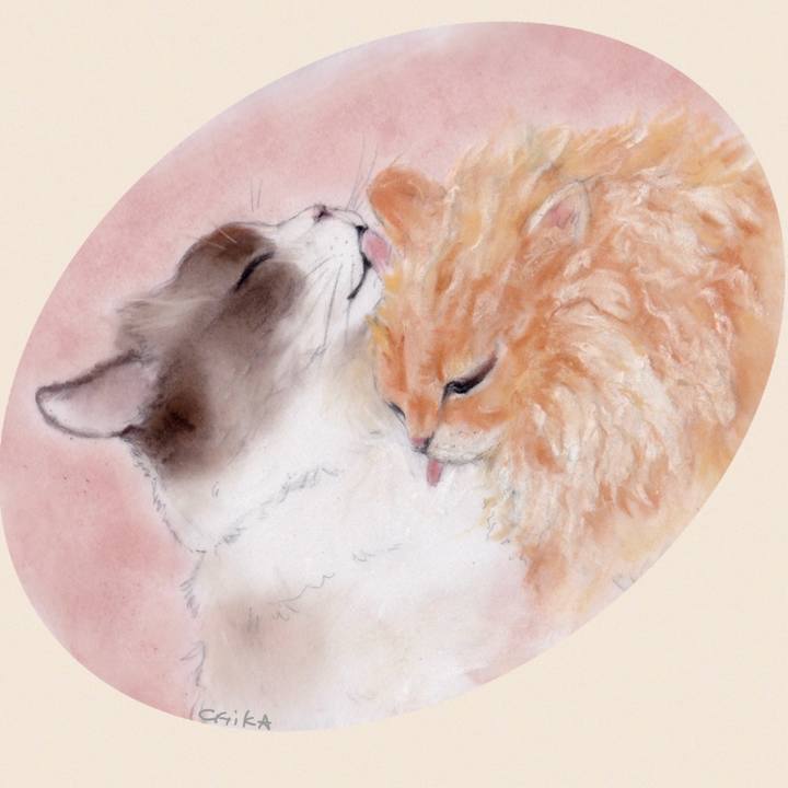 560a7b93 794b 43a8 8e2c 5f7bf1b8b97e 1728434646017