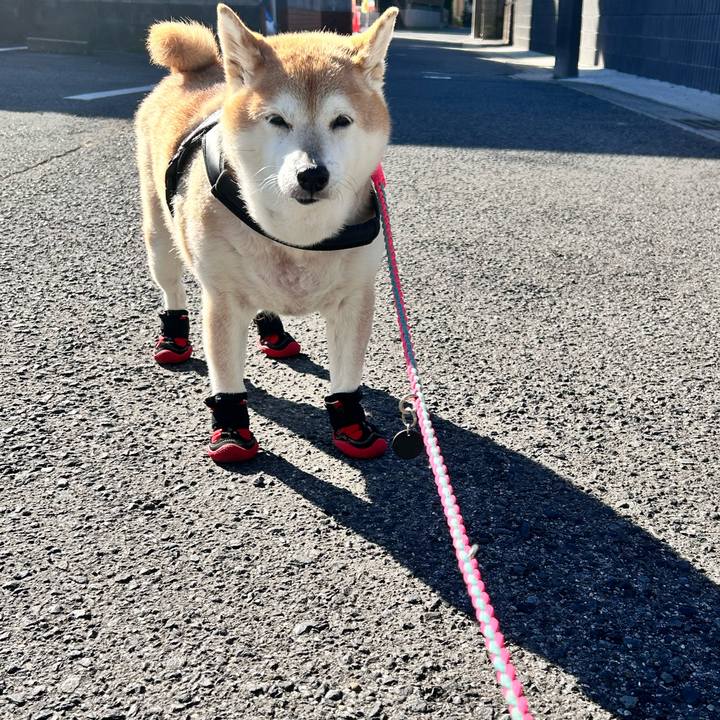 560a96b6 1440 4099 ad52 4dbf037107ca 1732952598573