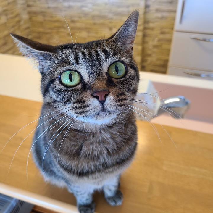 560aa0b8 e072 4b96 b4c4 2a61c0ec2225 1657028759785