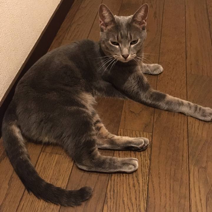 560ade37 9298 4d04 98dc a22a71b4f034 1599841322007