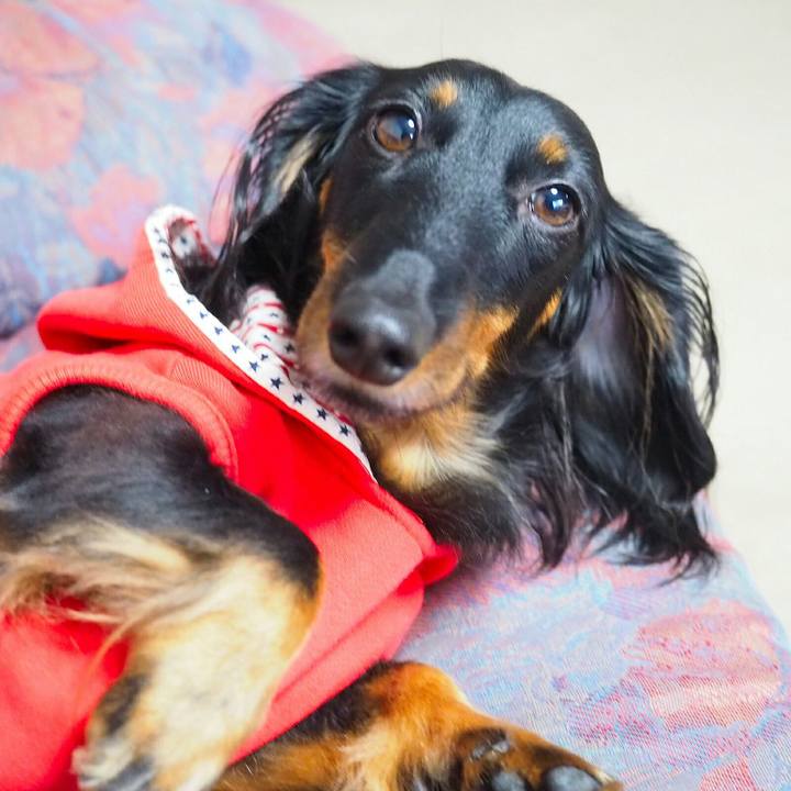 560af85f 9083 46bc 8f7d f3fc0eb7b672 1512002490260