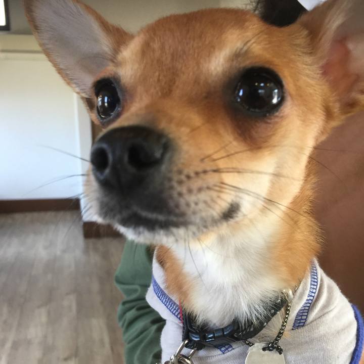 560afbc8 d9e1 40d6 9aef c5c7109d4eb9 1554617550652