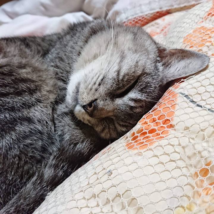 560b0724 63de 4ae9 b0cb 75b78673e5cc 1603456075323